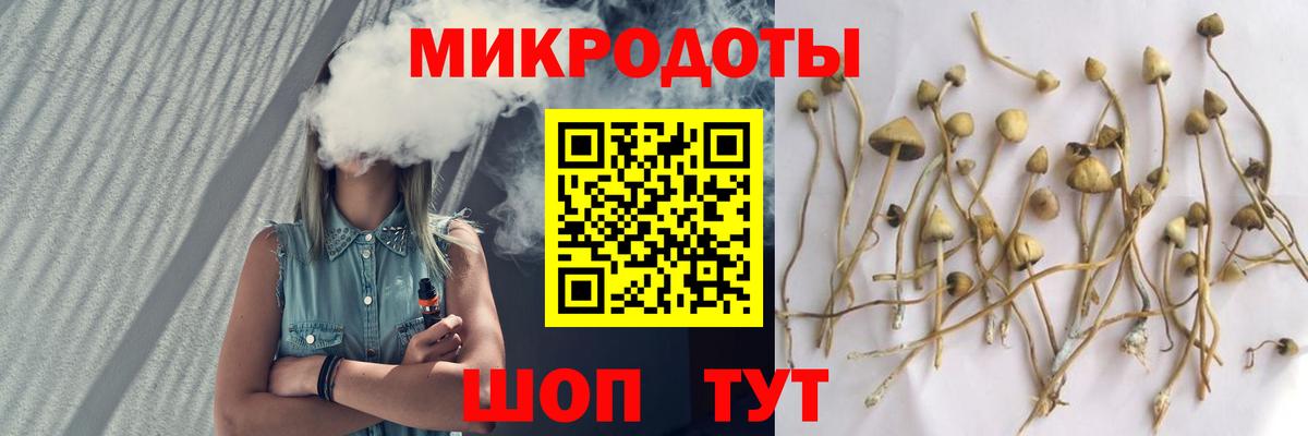 Галлюциногенные грибы Psilocybe Шали