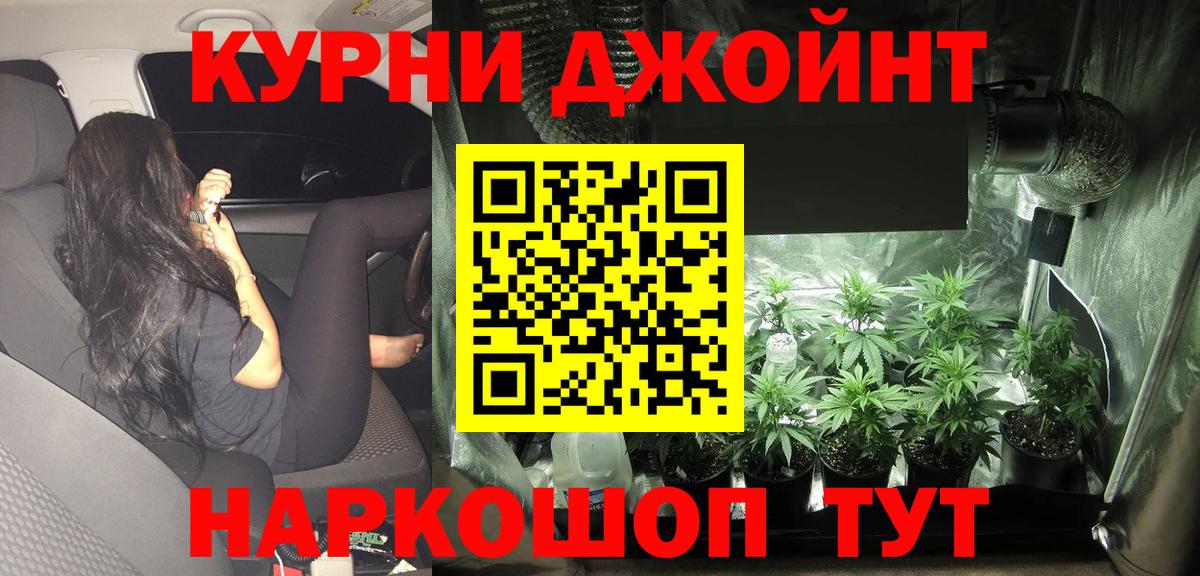 Бошки марихуана план Шали